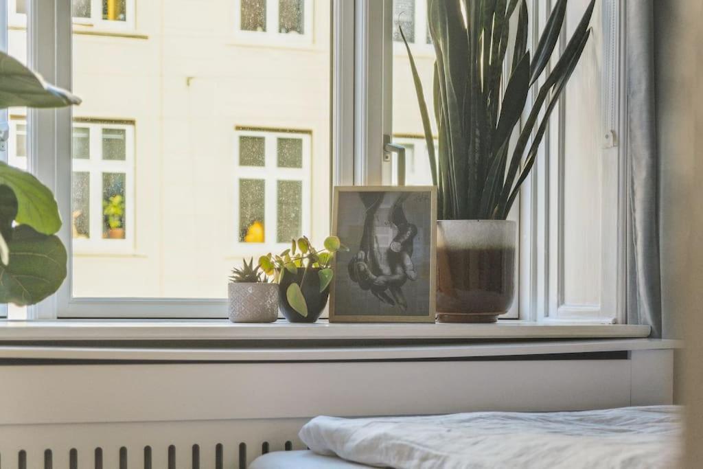 Apartamento Nyistandsat 1br I Hjertet Af Norrebro Copenhague